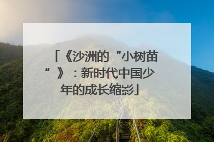 《沙洲的“小树苗”》：新时代中国少年的成长缩影