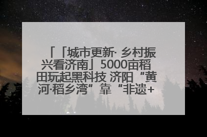 「城市更新· 乡村振兴看济南」5000亩稻田玩起黑科技 济阳“黄河·稻乡湾”靠“非遗+露营”火出圈