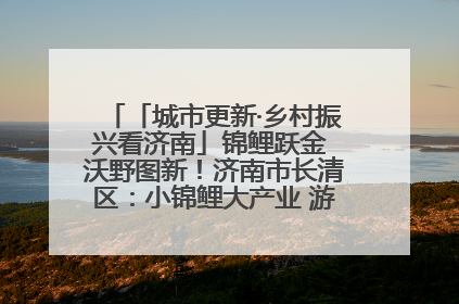 「城市更新·乡村振兴看济南」锦鲤跃金 沃野图新！济南市长清区：小锦鲤大产业 游出农旅新风景