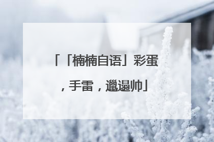 「楠楠自语」彩蛋，手雷，邋遢帅