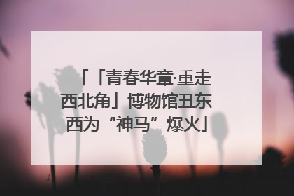 「青春华章·重走西北角」博物馆丑东西为“神马”爆火