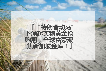 “特朗普动荡”下涌起实物黄金抢购潮，全球富豪聚焦新加坡金库！