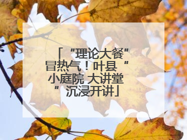 “理论大餐”冒热气！叶县“小庭院 大讲堂”沉浸开讲