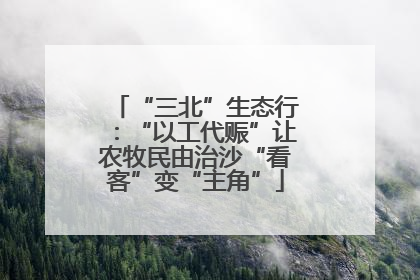 “三北”生态行：“以工代赈”让农牧民由治沙“看客”变“主角”
