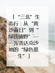 “三北”生态行：从“黄沙蔽日”到“绿毯铺野”——浑善达克沙地的“绿色重生”