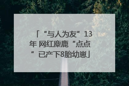 “与人为友”13年 网红麋鹿“点点”已产下8胎幼崽