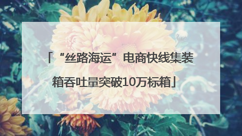 “丝路海运”电商快线集装箱吞吐量突破10万标箱