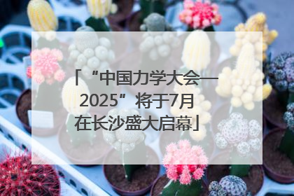 “中国力学大会—2025”将于7月在长沙盛大启幕