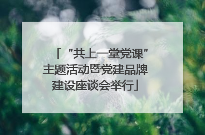 “共上一堂党课”主题活动暨党建品牌建设座谈会举行