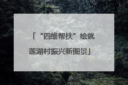 “四维帮扶”绘就莲湖村振兴新图景