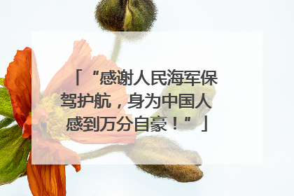 “感谢人民海军保驾护航，身为中国人感到万分自豪！”