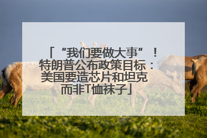 “我们要做大事”！特朗普公布政策目标：美国要造芯片和坦克 而非T恤袜子