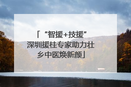 “智援+技援” 深圳援桂专家助力壮乡中医焕新颜