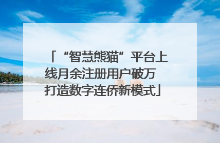 “智慧熊猫”平台上线月余注册用户破万 打造数字连侨新模式