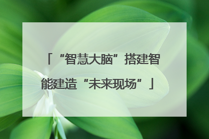 “智慧大脑”搭建智能建造“未来现场”
