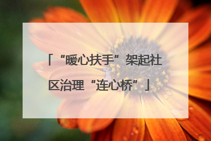 “暖心扶手”架起社区治理“连心桥”