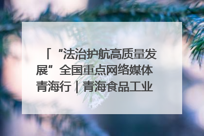 “法治护航高质量发展”全国重点网络媒体青海行｜青海食品工业协会：架起“青字号”美食的产业化桥梁