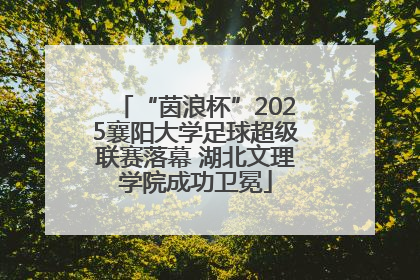 “茵浪杯”2025襄阳大学足球超级联赛落幕 湖北文理学院成功卫冕