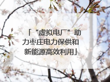 “虚拟电厂”助力枣庄电力保供和新能源高效利用