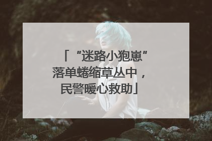 “迷路小狍崽”落单蜷缩草丛中，民警暖心救助