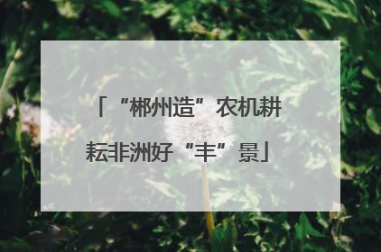 “郴州造”农机耕耘非洲好“丰”景