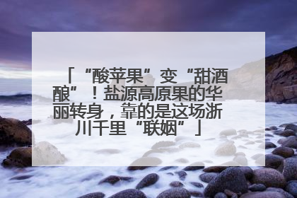 “酸苹果”变“甜酒酿”！盐源高原果的华丽转身，靠的是这场浙川千里“联姻”