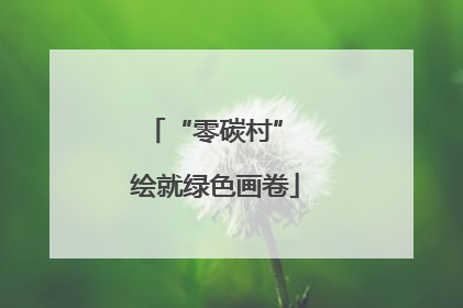 “零碳村” 绘就绿色画卷