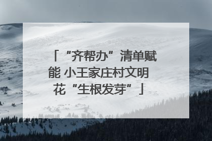 “齐帮办”清单赋能 小王家庄村文明花“生根发芽”