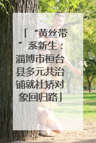 “黄丝带”系新生：淄博市桓台县多元共治铺就社矫对象回归路