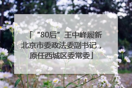 “80后”王中峰履新北京市委政法委副书记，原任西城区委常委