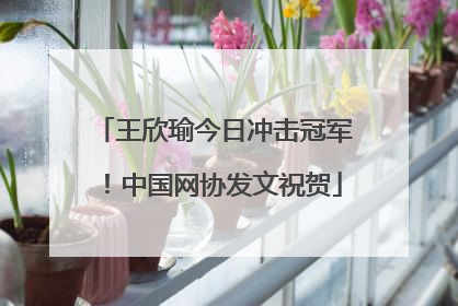 王欣瑜今日冲击冠军！中国网协发文祝贺