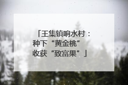 王集镇响水村：种下“黄金桃” 收获“致富果”