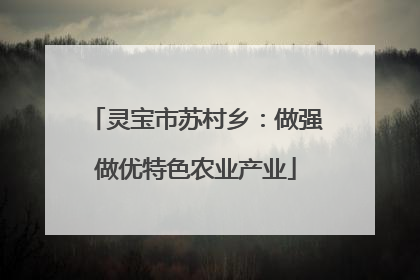 灵宝市苏村乡：做强做优特色农业产业