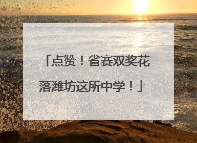 点赞！省赛双奖花落潍坊这所中学！