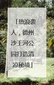 热浪袭人，德州沙王河公园打造清凉秘境