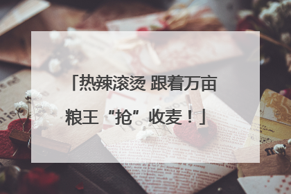 热辣滚烫 跟着万亩粮王“抢”收麦！