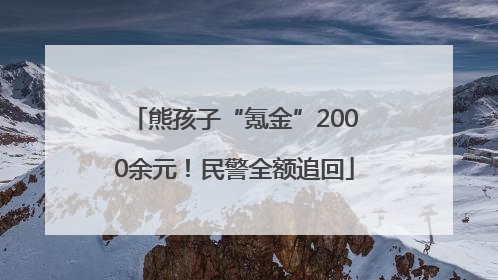 熊孩子“氪金”2000余元！民警全额追回