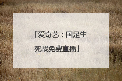爱奇艺：国足生死战免费直播