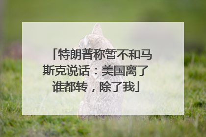 特朗普称暂不和马斯克说话：美国离了谁都转，除了我