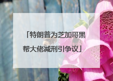 特朗普为芝加哥黑帮大佬减刑引争议