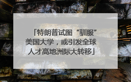 特朗普试图“驯服”美国大学，或引发全球人才高地洲际大转移