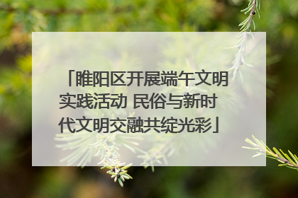 睢阳区开展端午文明实践活动 民俗与新时代文明交融共绽光彩