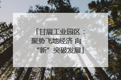 甘眉工业园区：聚势飞地经济 向“新”突破发展
