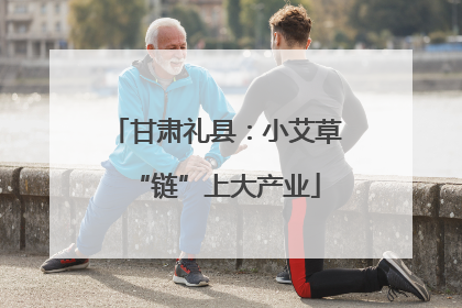 甘肃礼县：小艾草“链”上大产业