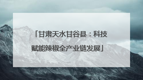 甘肃天水甘谷县：科技赋能辣椒全产业链发展
