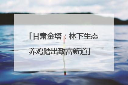 甘肃金塔：林下生态养鸡踏出致富新道