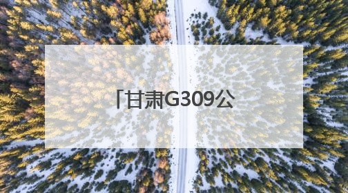 甘肃G309公路最新进展！通车后两地间用时缩短30分钟
