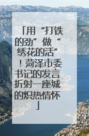 用“打铁的劲”做“绣花的活”！菏泽市委书记的发言折射一座城的炽热情怀