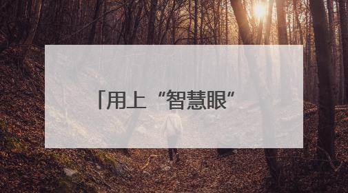 用上“智慧眼” 打造“吨粮田”——陕西宝鸡一座无人农场夏收见闻