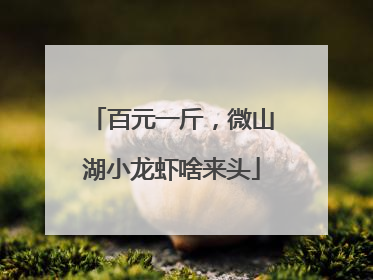 百元一斤，微山湖小龙虾啥来头